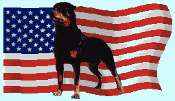 rotty